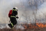 В Волгоградской области заблаговременно готовятся к пожароопасному сезону